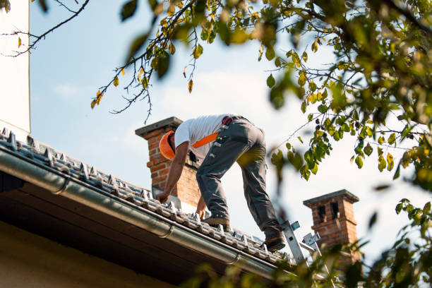 Best Residential Roofing Contractor  in Gridley, IL