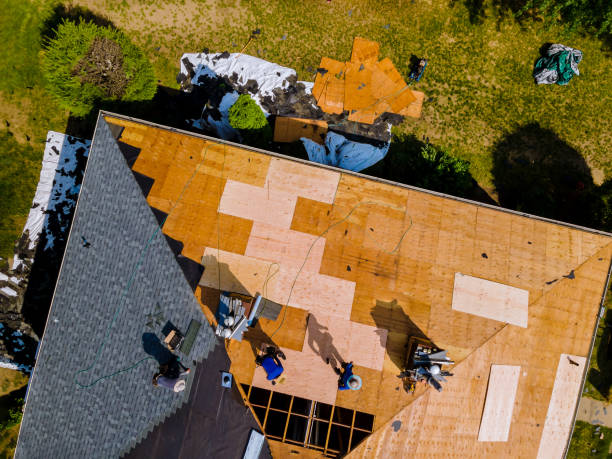 Best Metal Roofing Contractor  in Gridley, IL