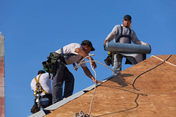 Best Flat Roof Repair Services  in Gridley, IL